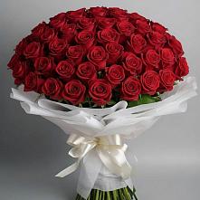 Букет 101 Красная роза Блэк Мэджик в Верхотурье