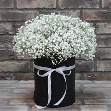 Цветочная композиция из Гипсофила в шляпной коробке в Верхотурье